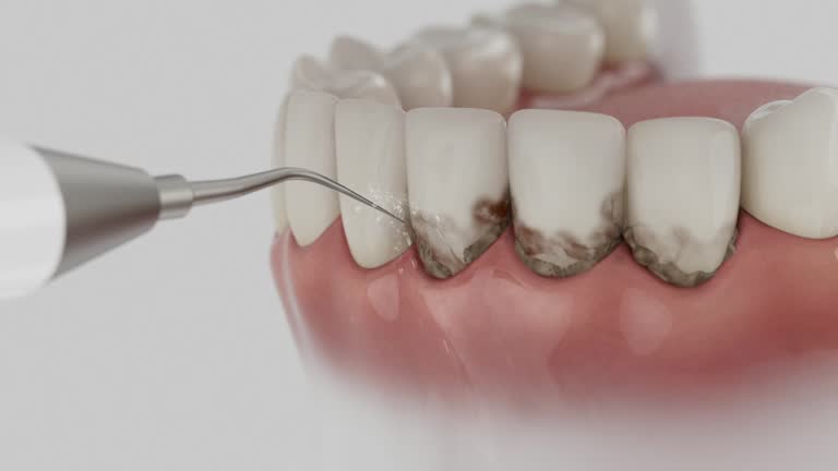 Reliable Dental contractor in Lexington, TX by Dentist Open Now